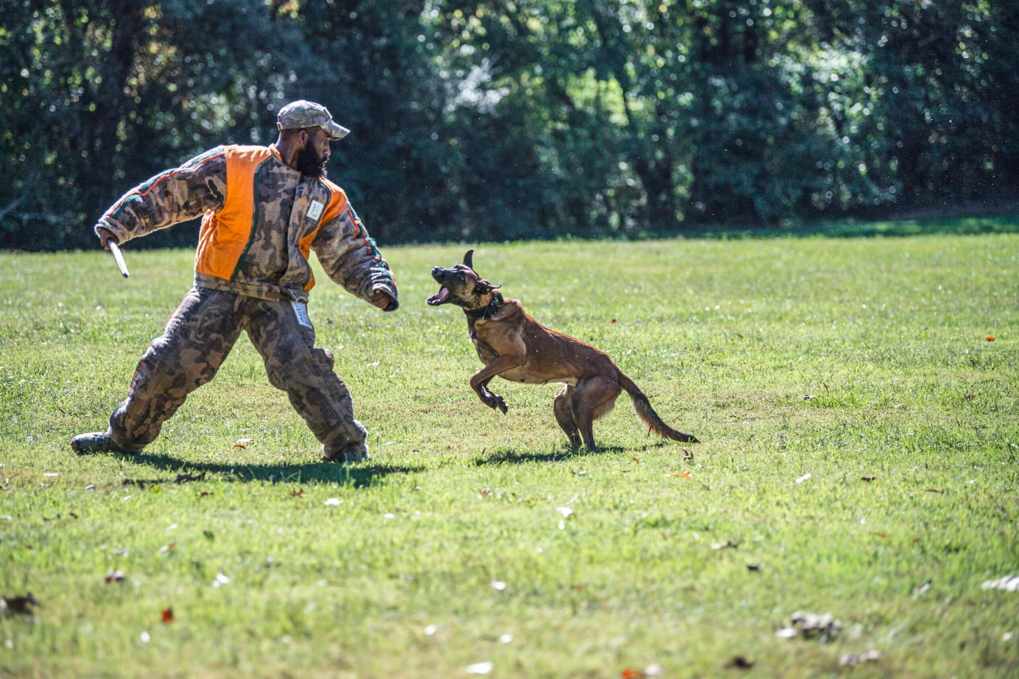 ASPCA Training Classes: A Smarter Path to a Well-Behaved Dog