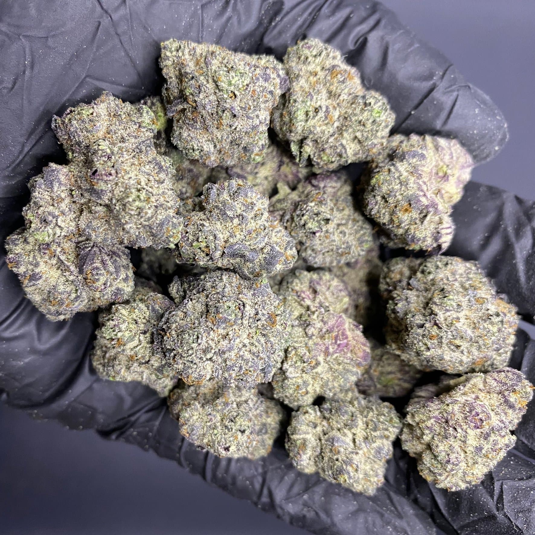 Miami runtz strain vs Other Runtz Variants – What’s the Difference?