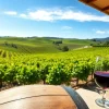 Taste exquisite wines at wineries in Clarksburg, featuring lush vineyards and scenic views.