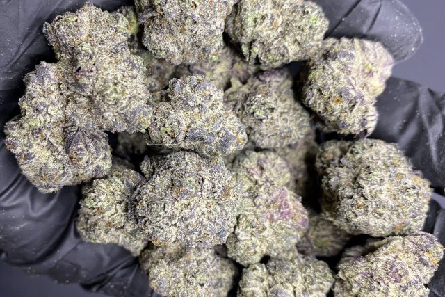 Miami runtz strain vs Other Runtz Variants – What’s the Difference?