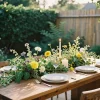 Home and Garden